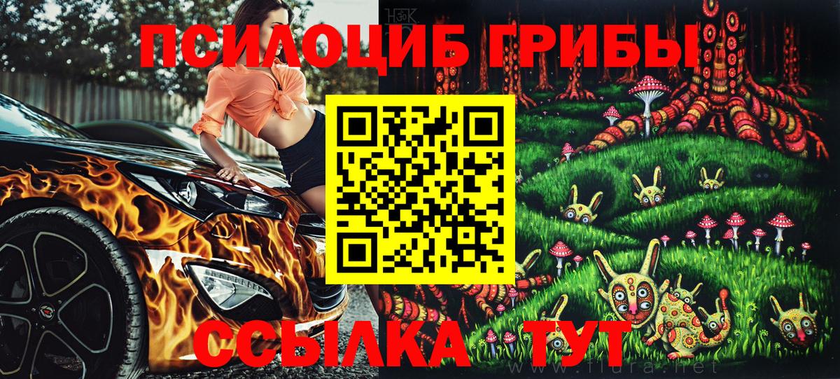 Чехов  Псилоцибиновые грибы ЛСД  Вход с VPN 